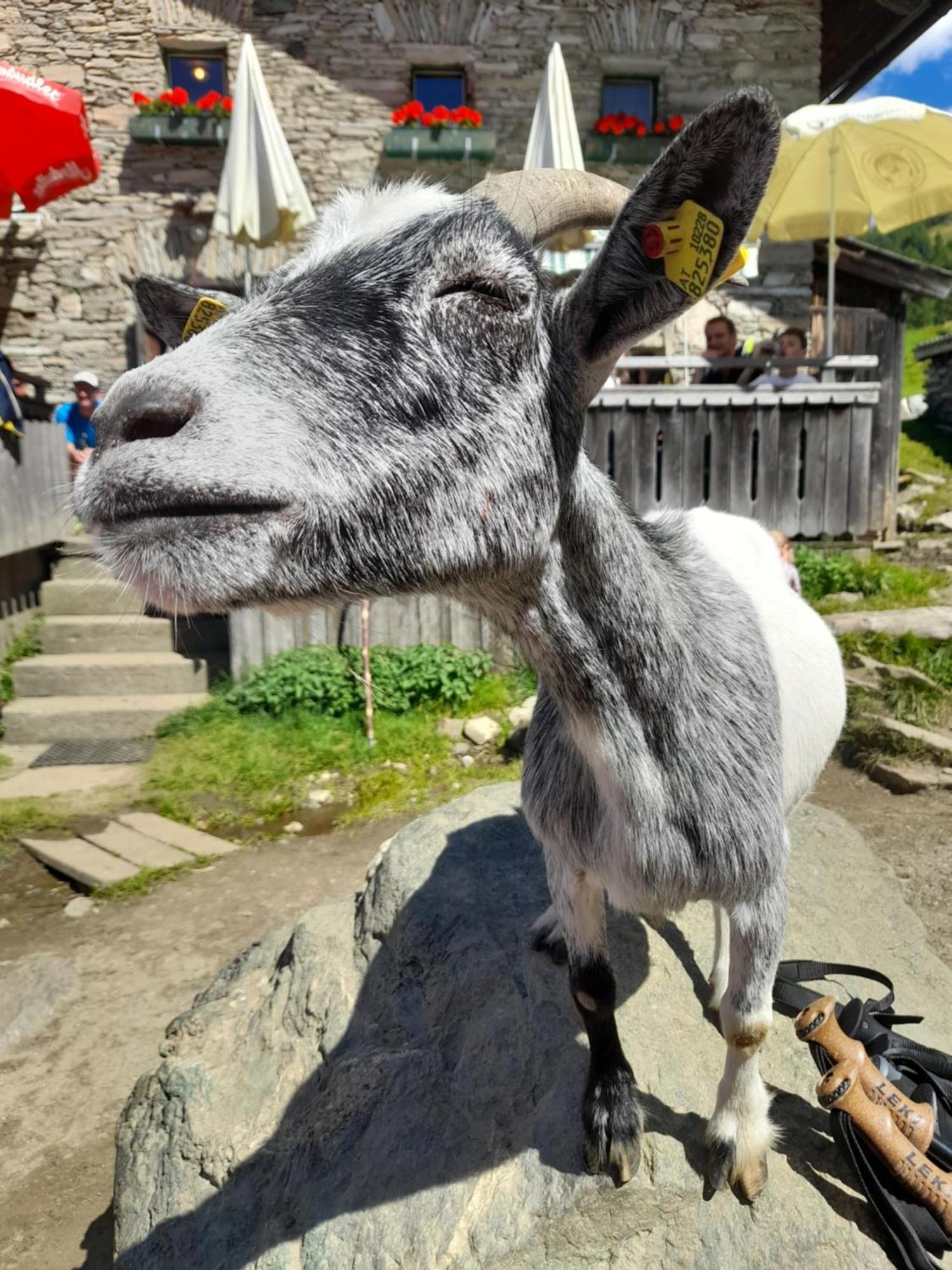 Ferienhaus Grofn Matrei in Osttirol Buitenkant foto