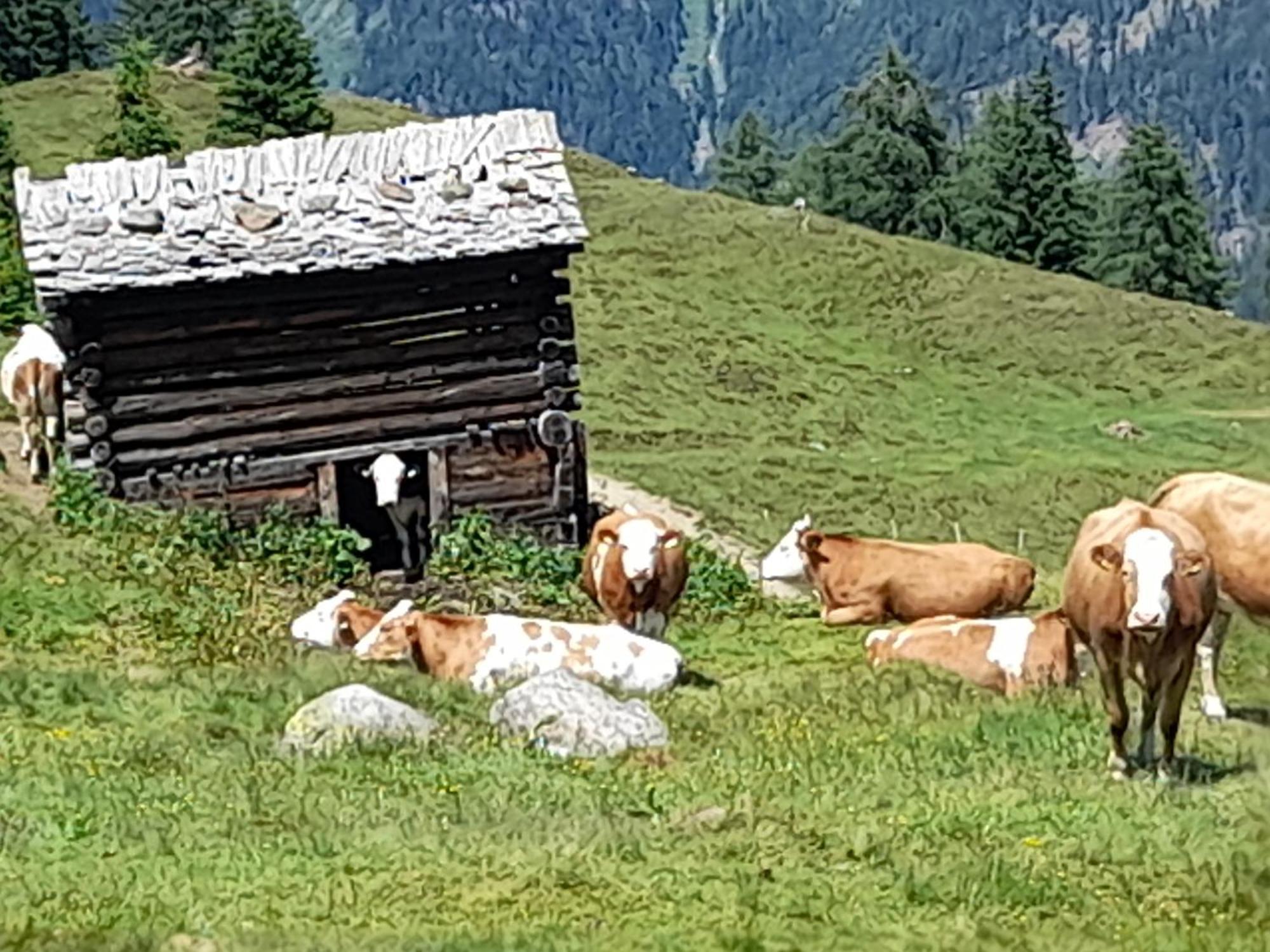 Ferienhaus Grofn Matrei in Osttirol Buitenkant foto